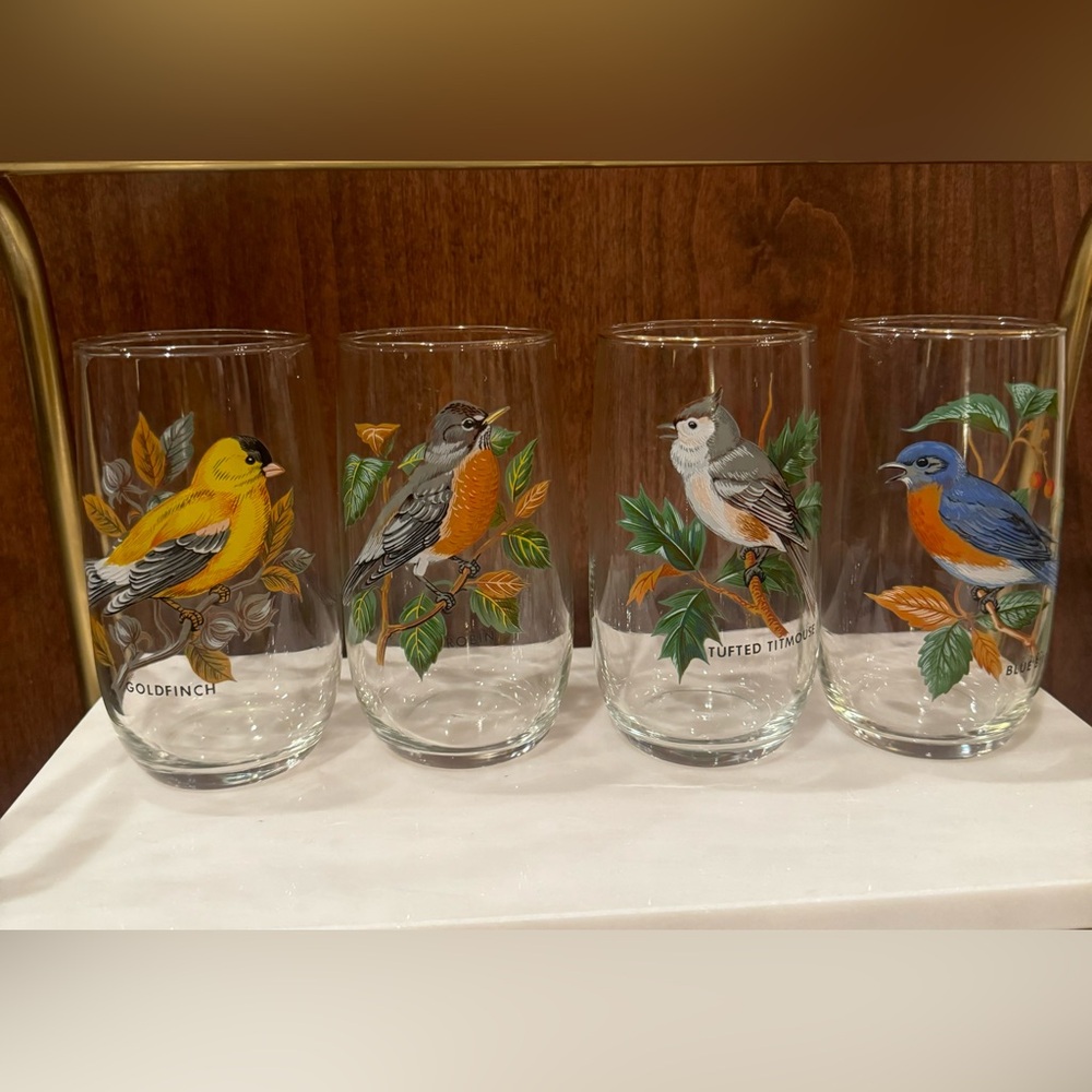 Vintage Bird-Themed Glass Tumbler Set